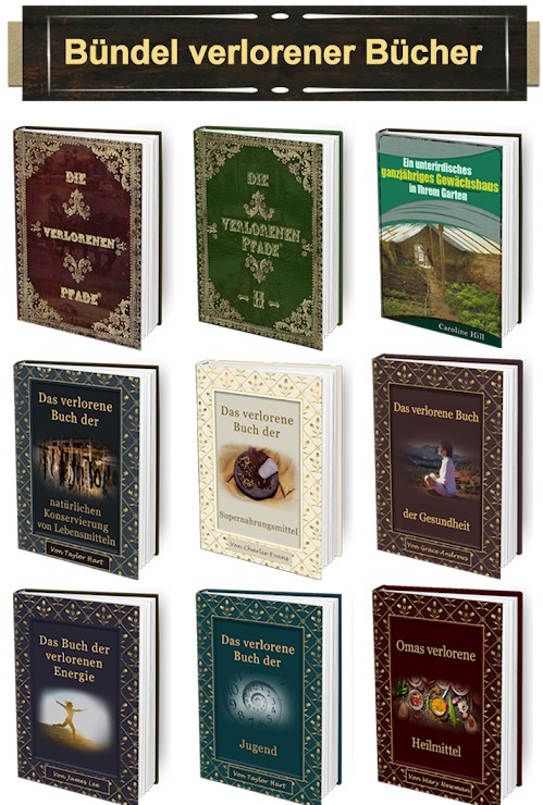 Bündel verlorener Bücher – Persönlichkeitsentwicklung