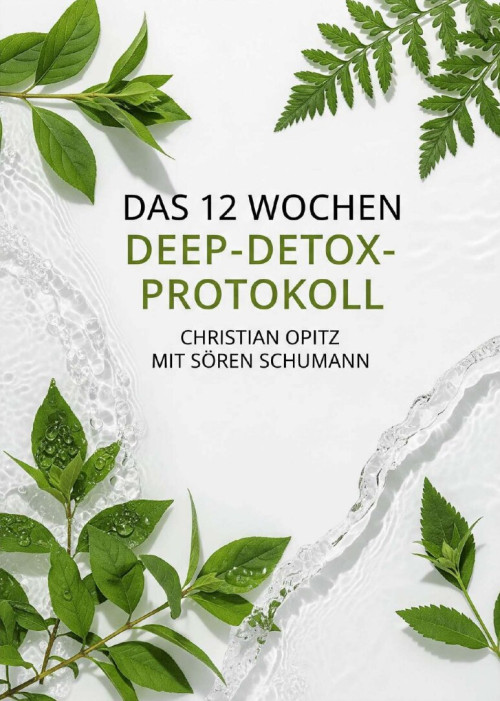 E-Book: 12 Wochen Deep Detox Protokoll – Sonstiges