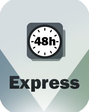 Express Datenlieferung – Sonstiges