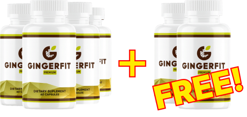 GingerFit (6 Flaschen) – Fitness & Gesundheit