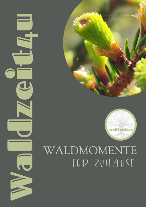 Waldzeit4u eBOOK – Persönlichkeitsentwicklung