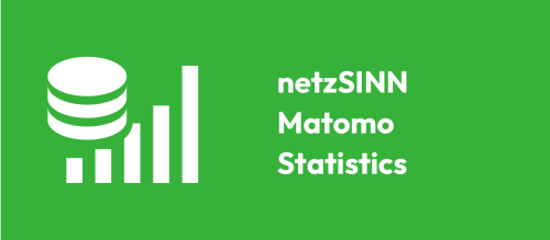 netzSINN Matomo Statistics Pro Annual License – IT & Programmierung